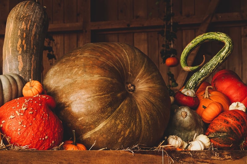 Pumpkin and autumn leaves